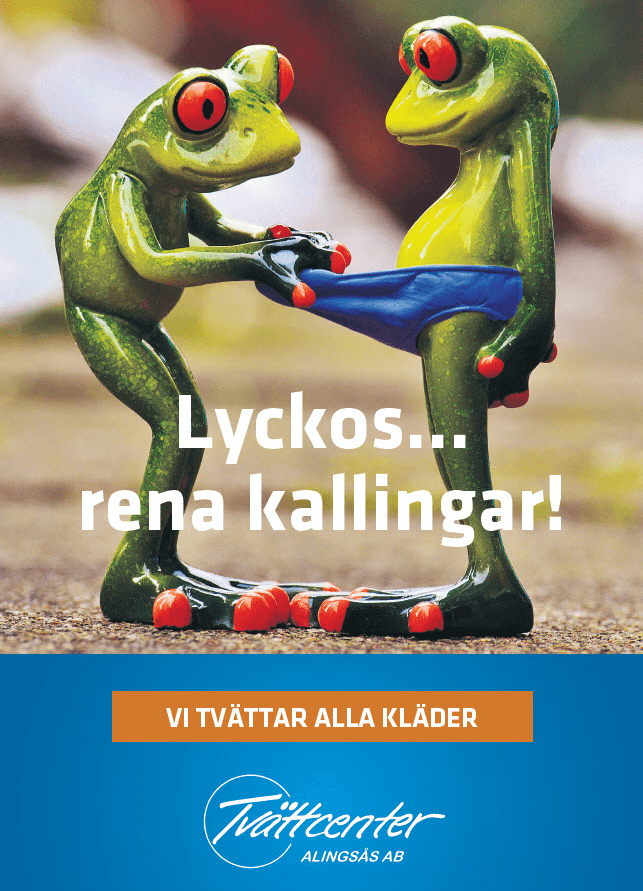 Klädtvätt i Alingsås
